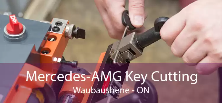 Mercedes-AMG Key Cutting Waubaushene - ON