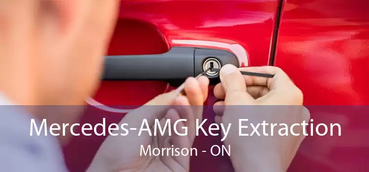 Mercedes-AMG Key Extraction Morrison - ON