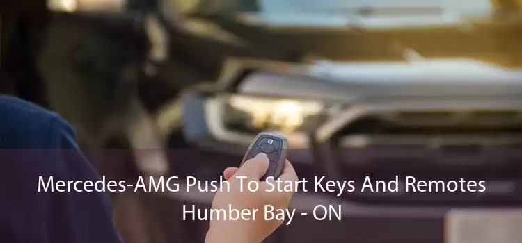 Mercedes-AMG Push To Start Keys And Remotes Humber Bay - ON