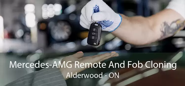 Mercedes-AMG Remote And Fob Cloning Alderwood - ON