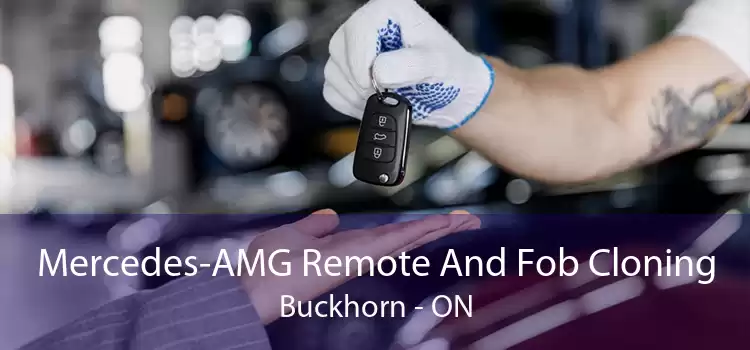 Mercedes-AMG Remote And Fob Cloning Buckhorn - ON