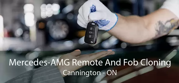 Mercedes-AMG Remote And Fob Cloning Cannington - ON