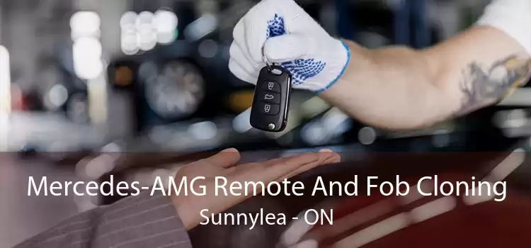 Mercedes-AMG Remote And Fob Cloning Sunnylea - ON