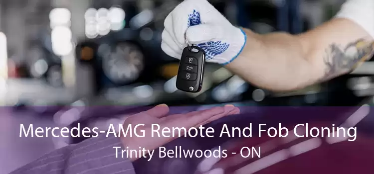 Mercedes-AMG Remote And Fob Cloning Trinity - Bellwoods - ON