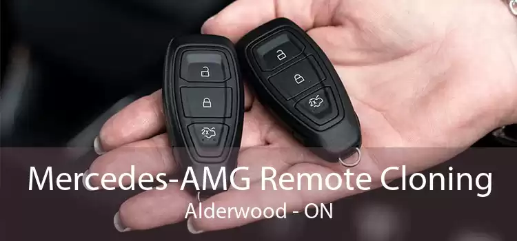 Mercedes-AMG Remote Cloning Alderwood - ON
