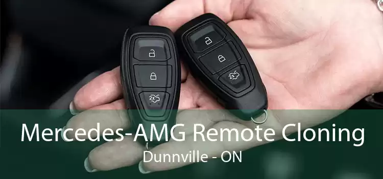 Mercedes-AMG Remote Cloning Dunnville - ON