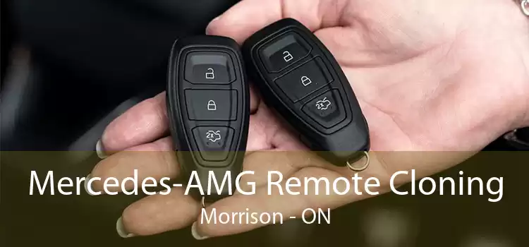 Mercedes-AMG Remote Cloning Morrison - ON