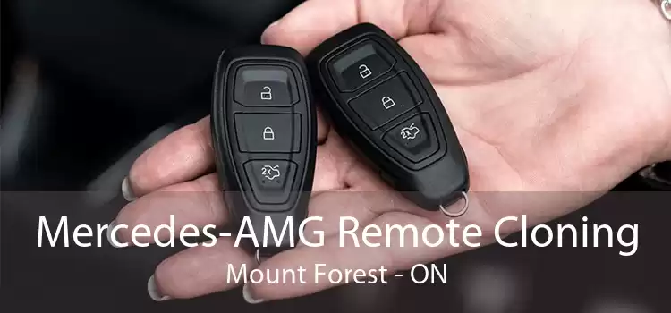 Mercedes-AMG Remote Cloning Mount Forest - ON
