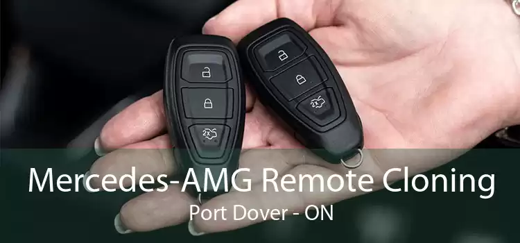 Mercedes-AMG Remote Cloning Port Dover - ON