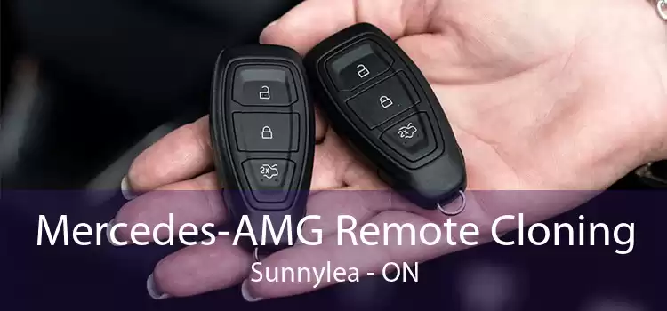 Mercedes-AMG Remote Cloning Sunnylea - ON