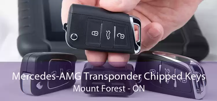 Mercedes-AMG Transponder Chipped Keys Mount Forest - ON