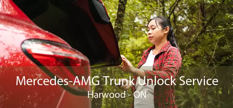 Mercedes-AMG Trunk Unlock Service Harwood - ON