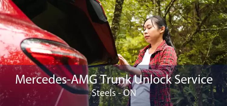 Mercedes-AMG Trunk Unlock Service Steels - ON