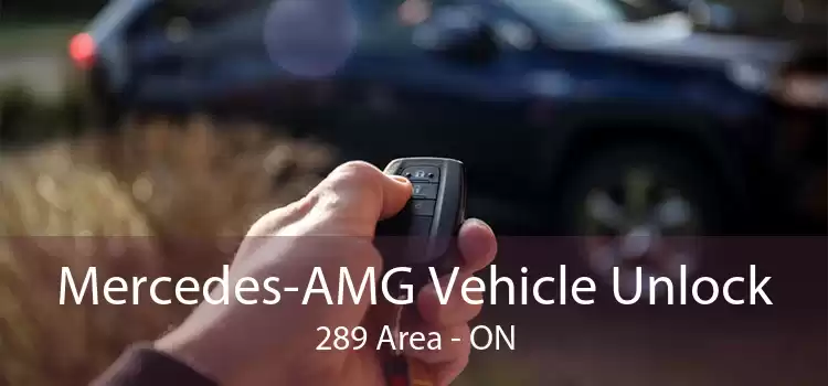 Mercedes-AMG Vehicle Unlock 289 Area - ON