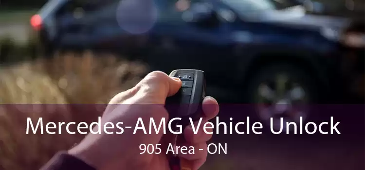 Mercedes-AMG Vehicle Unlock 905 Area - ON