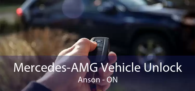 Mercedes-AMG Vehicle Unlock Anson - ON