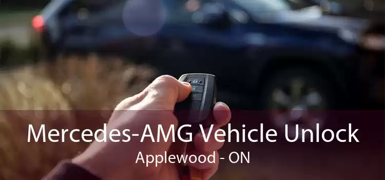 Mercedes-AMG Vehicle Unlock Applewood - ON