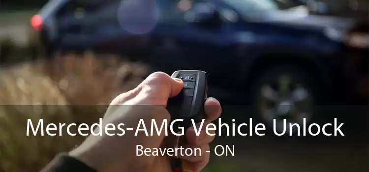 Mercedes-AMG Vehicle Unlock Beaverton - ON