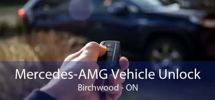 Mercedes-AMG Vehicle Unlock Birchwood - ON