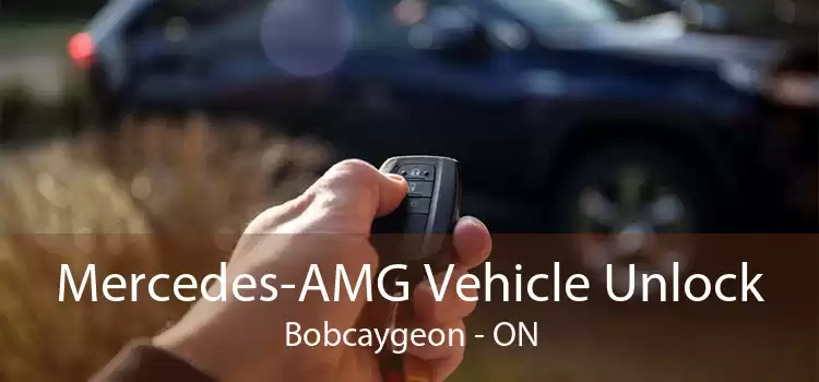 Mercedes-AMG Vehicle Unlock Bobcaygeon - ON