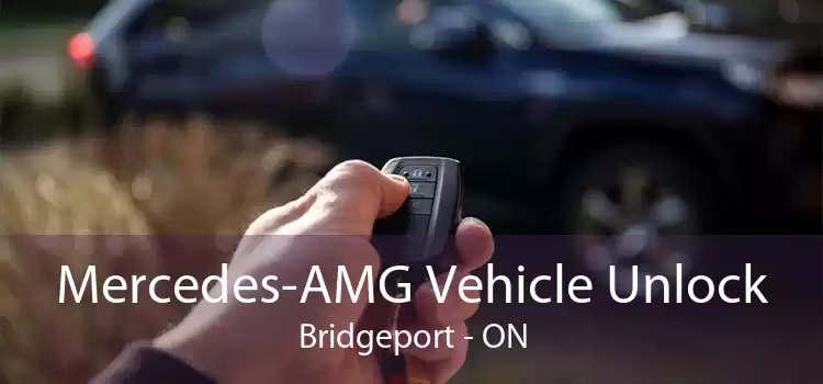Mercedes-AMG Vehicle Unlock Bridgeport - ON