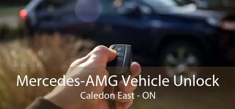 Mercedes-AMG Vehicle Unlock Caledon East - ON