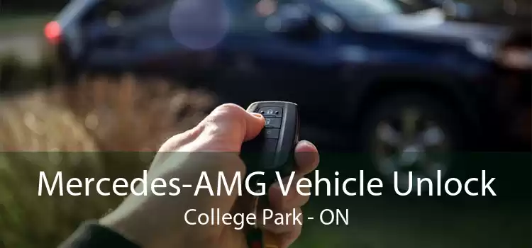 Mercedes-AMG Vehicle Unlock College Park - ON