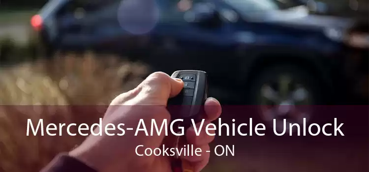 Mercedes-AMG Vehicle Unlock Cooksville - ON
