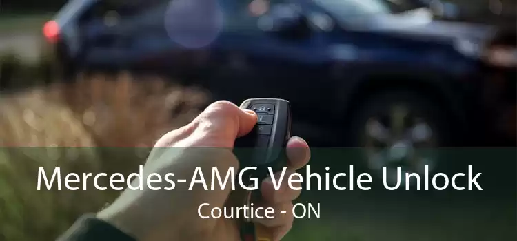 Mercedes-AMG Vehicle Unlock Courtice - ON