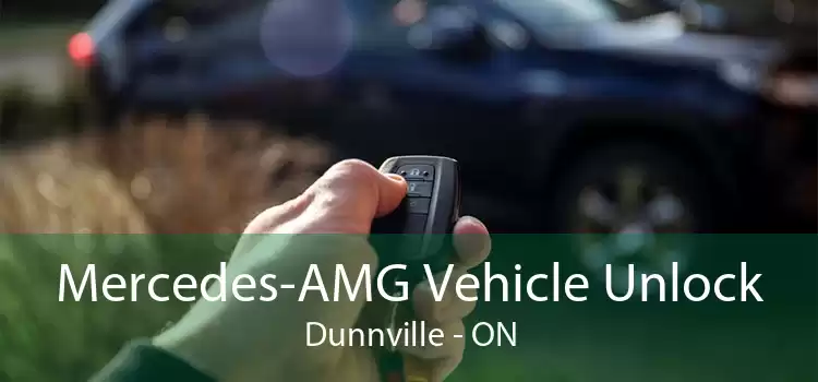 Mercedes-AMG Vehicle Unlock Dunnville - ON