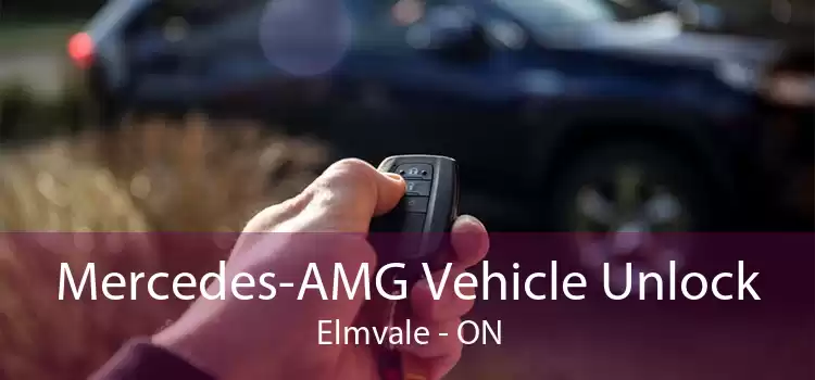 Mercedes-AMG Vehicle Unlock Elmvale - ON