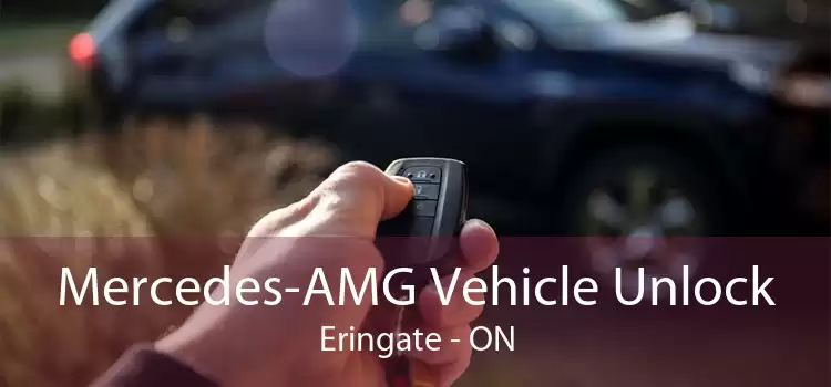 Mercedes-AMG Vehicle Unlock Eringate - ON
