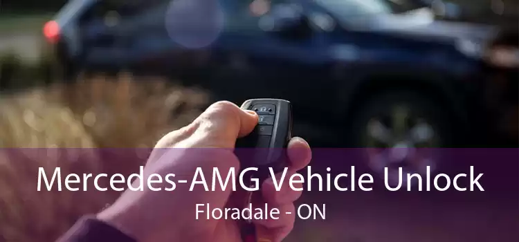Mercedes-AMG Vehicle Unlock Floradale - ON
