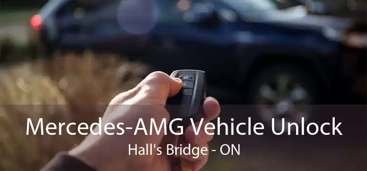Mercedes-AMG Vehicle Unlock Hall's Bridge - ON