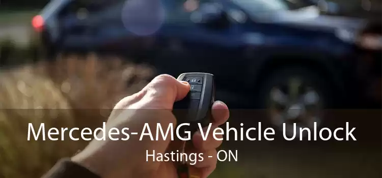 Mercedes-AMG Vehicle Unlock Hastings - ON