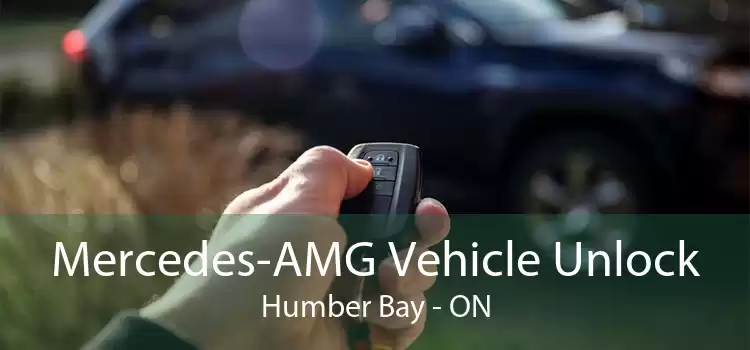Mercedes-AMG Vehicle Unlock Humber Bay - ON