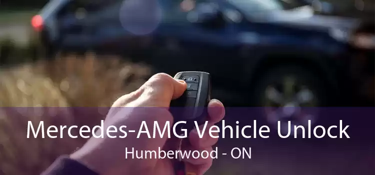 Mercedes-AMG Vehicle Unlock Humberwood - ON