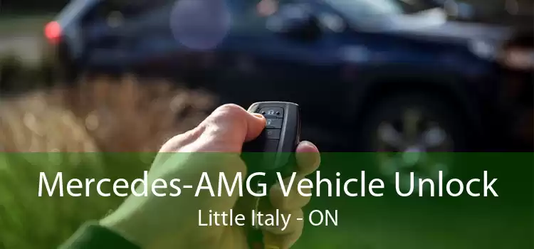 Mercedes-AMG Vehicle Unlock Little Italy - ON