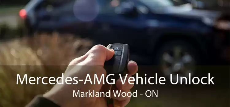 Mercedes-AMG Vehicle Unlock Markland Wood - ON
