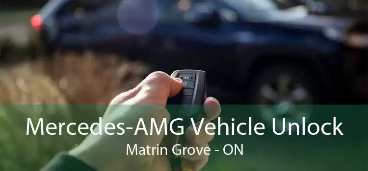 Mercedes-AMG Vehicle Unlock Matrin Grove - ON