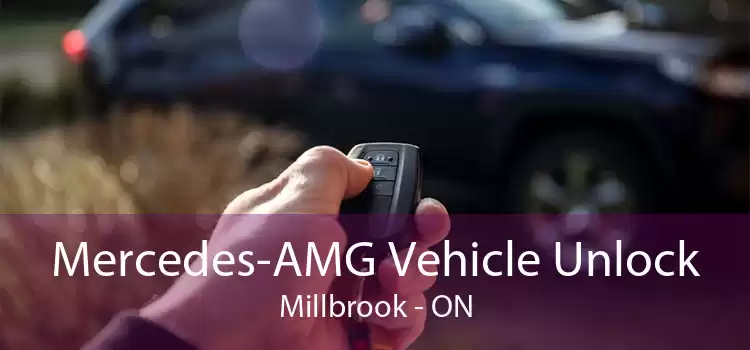 Mercedes-AMG Vehicle Unlock Millbrook - ON
