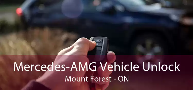 Mercedes-AMG Vehicle Unlock Mount Forest - ON