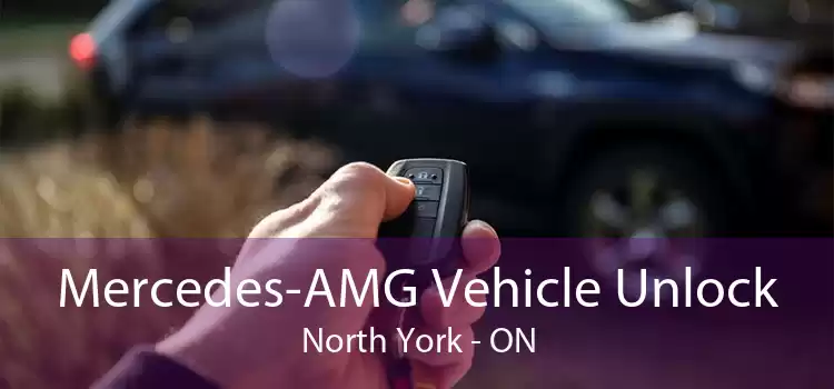 Mercedes-AMG Vehicle Unlock North York - ON