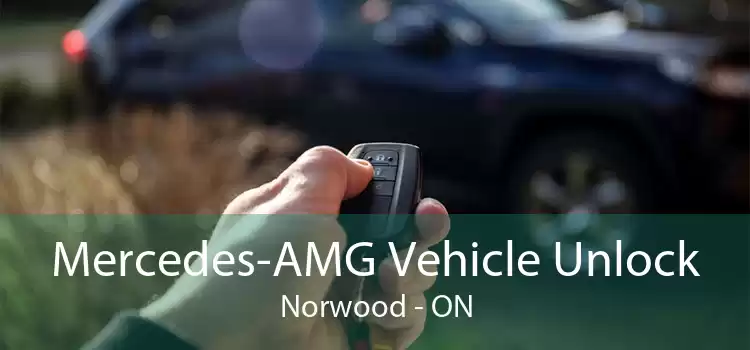 Mercedes-AMG Vehicle Unlock Norwood - ON