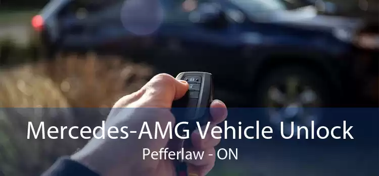 Mercedes-AMG Vehicle Unlock Pefferlaw - ON