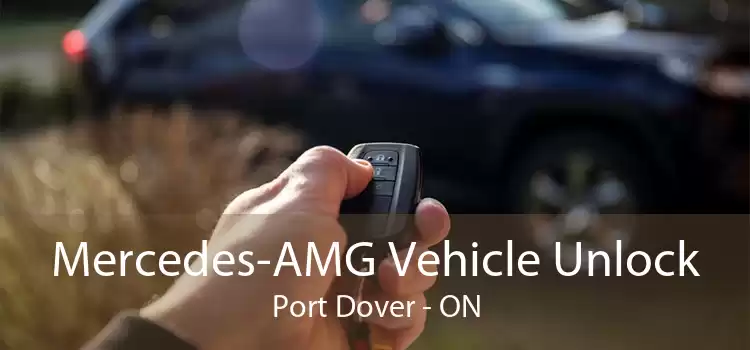 Mercedes-AMG Vehicle Unlock Port Dover - ON