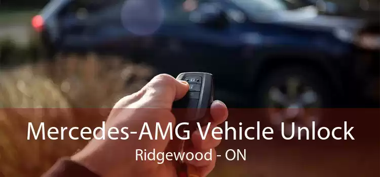 Mercedes-AMG Vehicle Unlock Ridgewood - ON