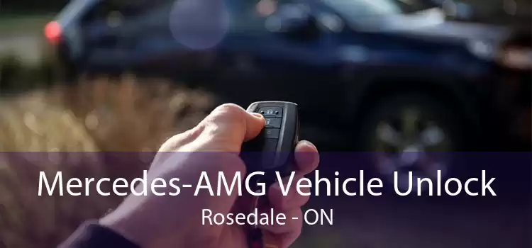 Mercedes-AMG Vehicle Unlock Rosedale - ON