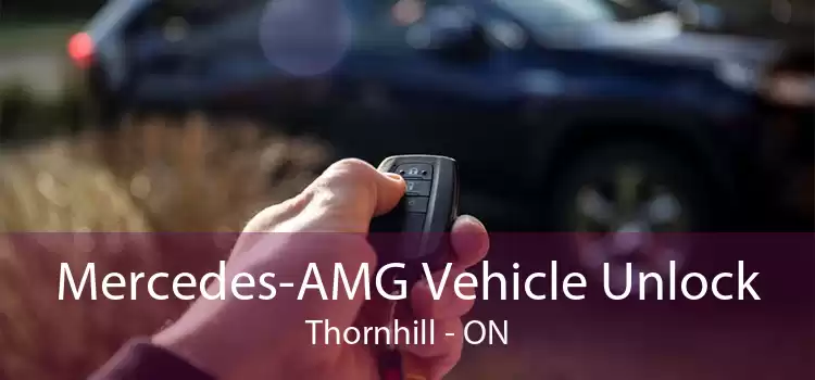 Mercedes-AMG Vehicle Unlock Thornhill - ON