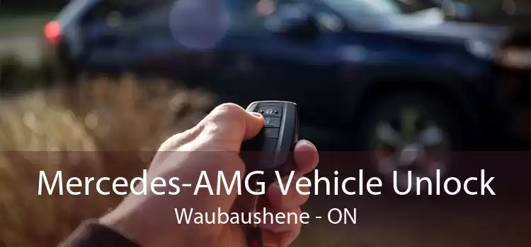 Mercedes-AMG Vehicle Unlock Waubaushene - ON